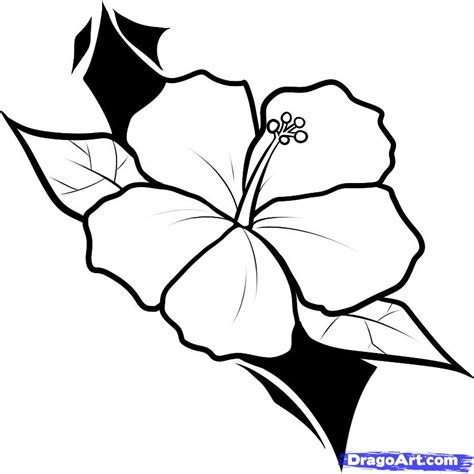 Samoan Flower Designs