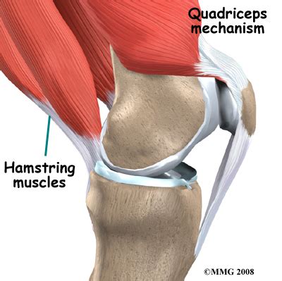 Leg pain is the pain that passes along entire leg or section of the leg. Quadriceps Tendonitis of the Knee | Central Orthopedic Group