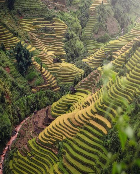 5 Best Places To See Rice Fields And Terraces In Vietnam