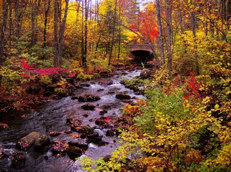 Fall Colors At A Stream Near Milford New Hampshire Beautiful Places