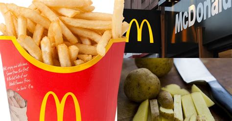Some of the major issues with mcdonald's famous fast eats? How to make 'healthy' McDonalds fries at home with just ...