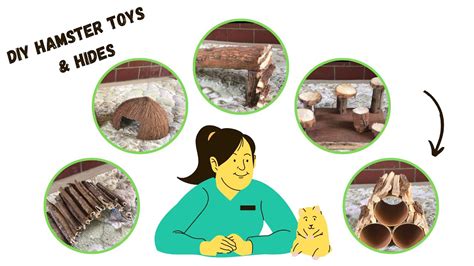 Beginner S Guide Diy Hamster Toys Hides Tunnel Youtube