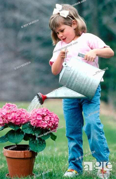 Little Girl Watering Flowers Stock Photo Picture And Rights Managed