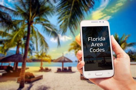 Florida Area Codes Details And Phone Numbers