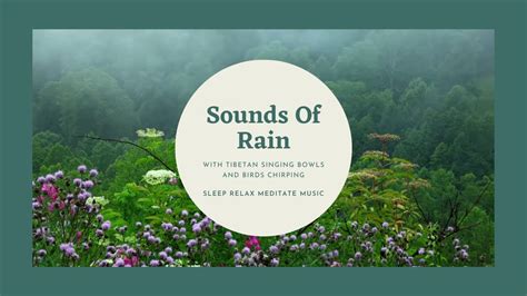 Sounds Of Falling Rain With Tibetan Singing Bowls And Birds Chirpingsleep Relax Meditate