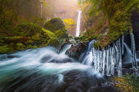 Wallpaper Trees Landscape Forest Waterfall Nature Long Exposure