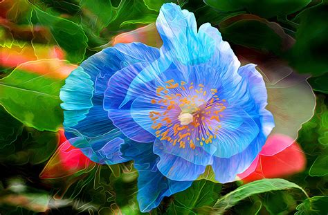Blue Flower Painting Wallpaper Hd Artist Wallpapers 4k Wallpapers Images Backgrounds Photos And