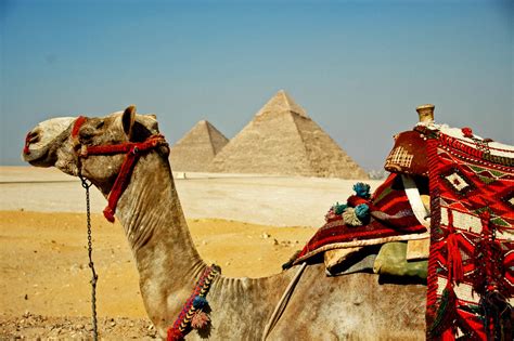 egypt nomadic thoughts