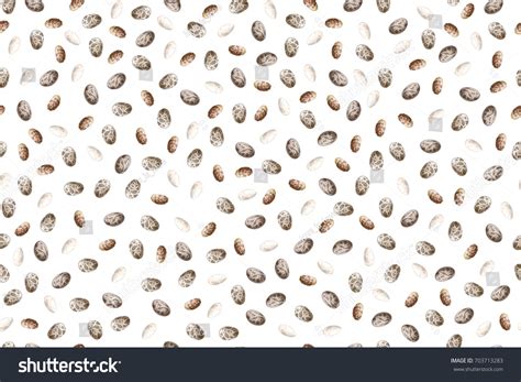 Chia Seeds Vector Seamless Pattern Royalty Free Stock Vector