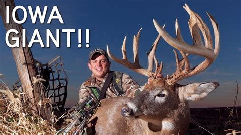 Giant Iowa Buck In Rut Crazy Rut Hunting Action Rattled To The Base
