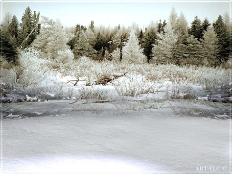 Free Animated Snow Scene Wallpaper Wallpapersafari