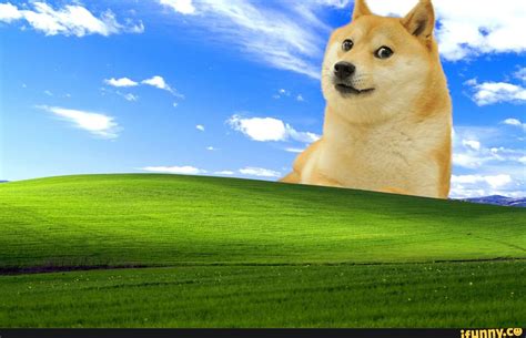 Doge Windows Xp Wallpaper Ifunny