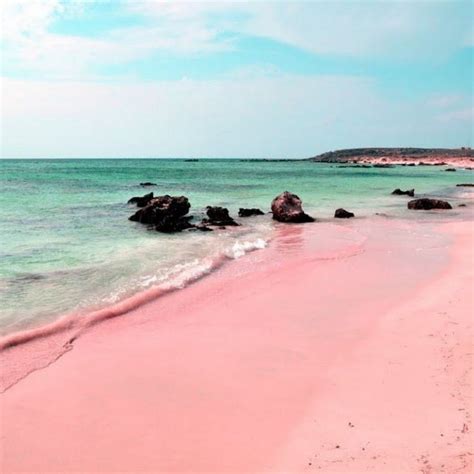 The Most Beautiful Pink Sand Beaches In The World