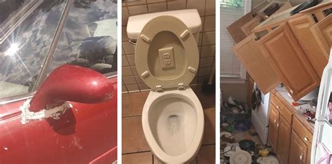 This Instagram Account Collects Hilarious Construction Fails And Home