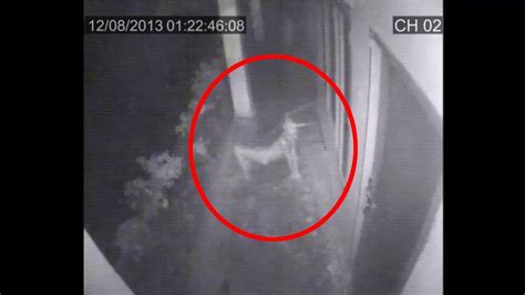 Shocking Cctv Ghost Footage Real Ghost Caught On Cctv Camera Scary
