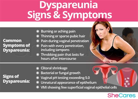 Dyspareunia Hormonal Imbalance Symptoms SheCares