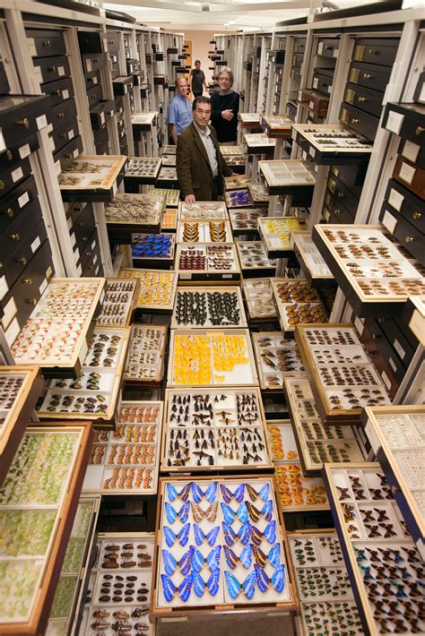 Inside the Secret Collections Backstage at the US Museum of Natural History