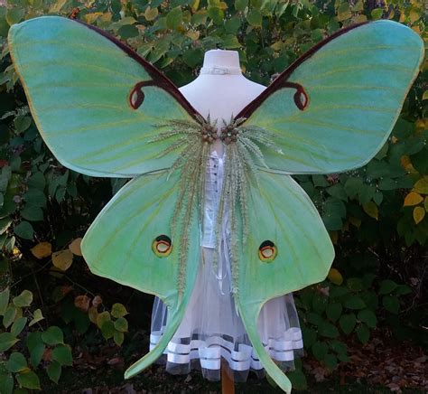 Luna Moth Wings Adult Fairy Wings Adult Moth Wings Ready To Ship