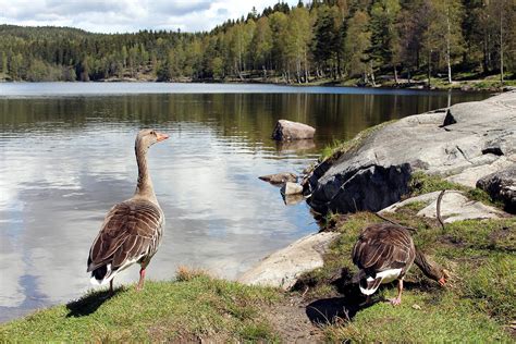 7 Lugares Tan Sorprendentes De Noruega Que Te Dejarán Sin Habla