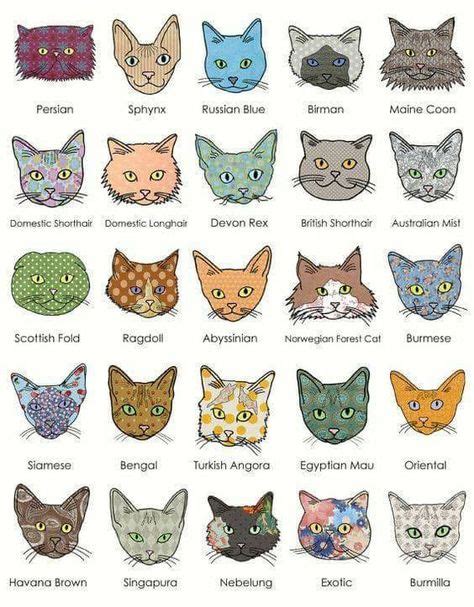 Top 42 Funny Cats And Kittens Pictures In 2020 Cat Breeds Chart Cats