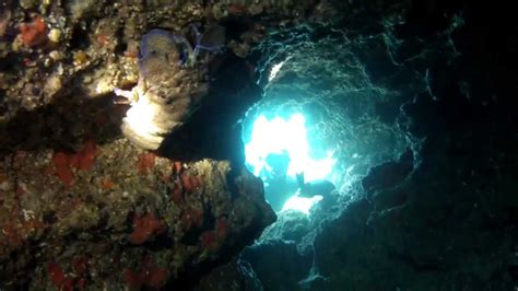 Amazing Underwater Life Filmed Freediving In Israel Marine