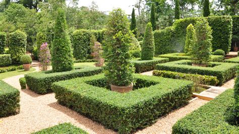 What Is Topiary And How Can You Use It In Your Yard