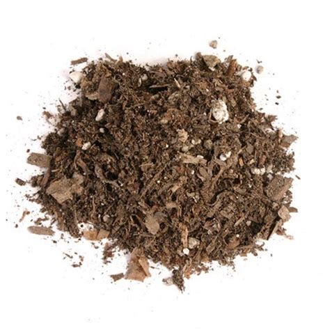 Top dressing with peat is a bad idea because wind will blow it around and rain will harden it. Peat Moss with Perlite Mix