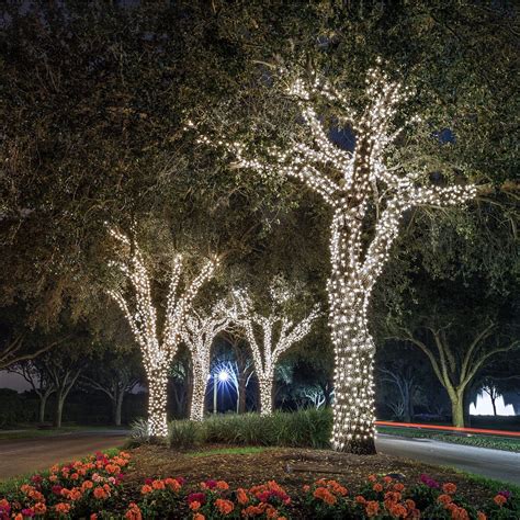 How To Put Lights In Outside Tree Joline Frasier