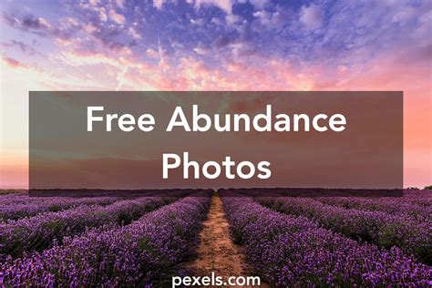 100 Great Abundance Photos · Pexels · Free Stock Photos