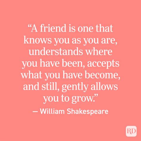 Best Friend Quotes To Make Your Besties Day 2021 Readers Digest
