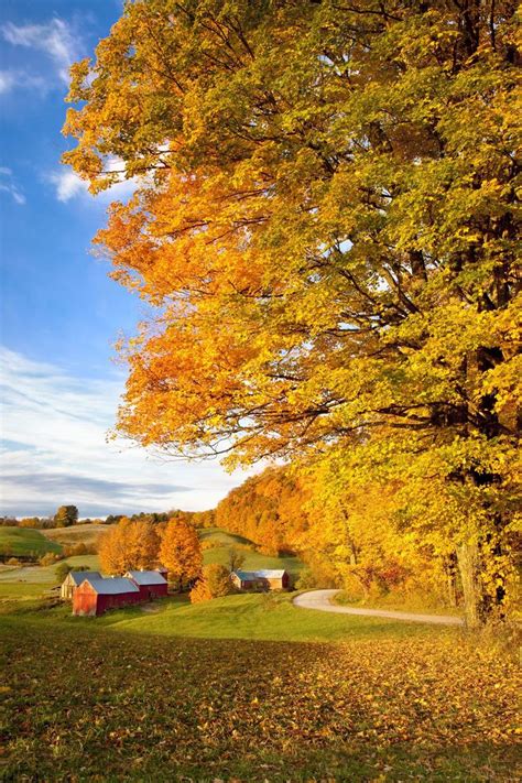23 Photos That Prove Fall Is The Most Spectacular Season Autumn