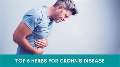 Top 5 Herbs For Crohns Disease Natural Treatment