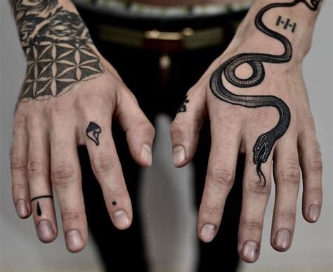 50+ Cool Snake Tattoo Ideas Who Love Elongated Lines