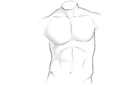 Torso Drawing How To Draw Muscles Drawings Torso
