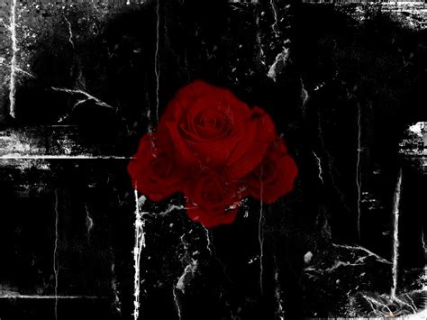 Red Gothic Roses Facebook Timeline Cover Backgrounds - Pimp-My-Profile.com