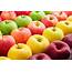 Hbyf Designs How Many Varieties Of Apples Are There