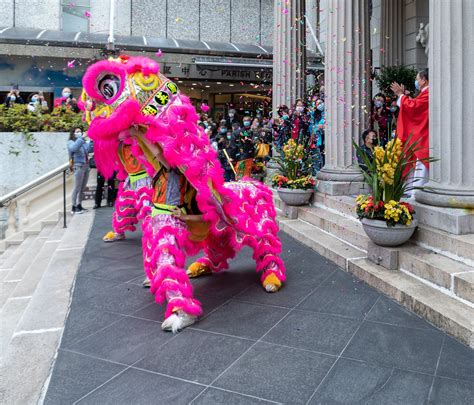 965 A Lion Dance Against All Odds Dearsusan