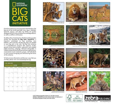 National Geographic Big Cats Calendar 2018 Big Cats Cat Calendar Cats