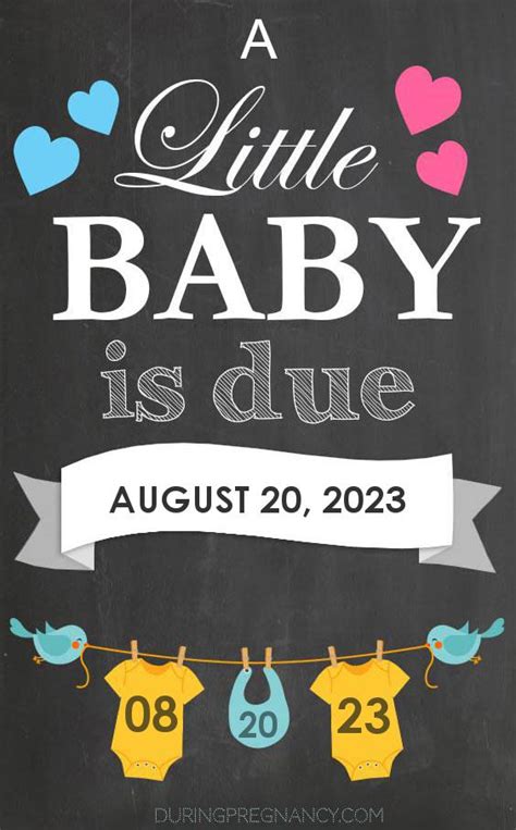 Your Due Date August 20 2023 During Pregnancy