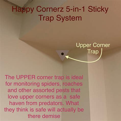 Sticky Traps For Roaches Mice Spiders Buy Happy Cornerz Now Glue