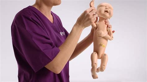 Limbs And Things Prompt Flex Birthing Simulator Standard Light