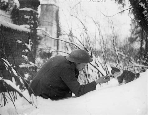 1917 Ww1 British Soldier Feeding A Cat 1080x840 Rhistoryporn