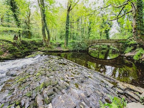 Rivelin Valley Trail Sheffield