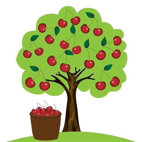Vector Abstract Cherry Tree On White Background Stock Vector