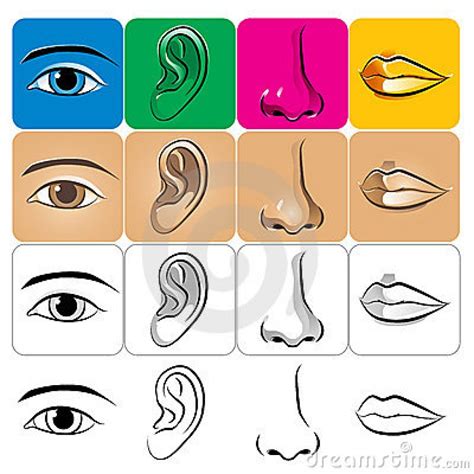Lips Nose And Eye Clipart 20 Free Cliparts Download Images On