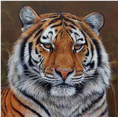 17 Best Images About Paintings Of Lions And Tigers On Pinterest