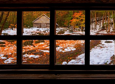 Nature Forest Window Fall Snow Winter Wallpapers Hd Desktop And