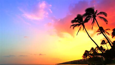 4k Incredible Sunset Tropical Beach Stock Footage Video