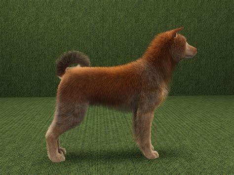 Mod The Sims Girlie A Finnish Spitz