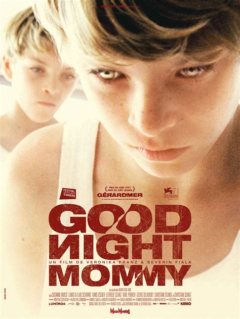 Goodnight Mommy 2014 Dvd Planet Store